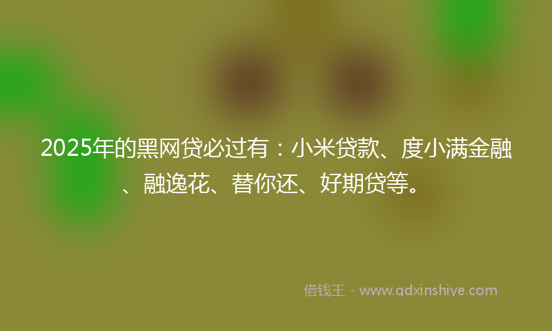 2025年的黑网贷必过有：小米贷款、度小满金融、融逸花、替你还、好期贷等。