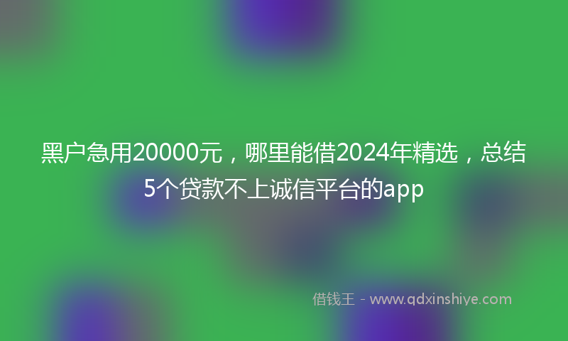 黑户急用20000元，哪里能借2024年精选，总结5个贷款不上诚信平台的app