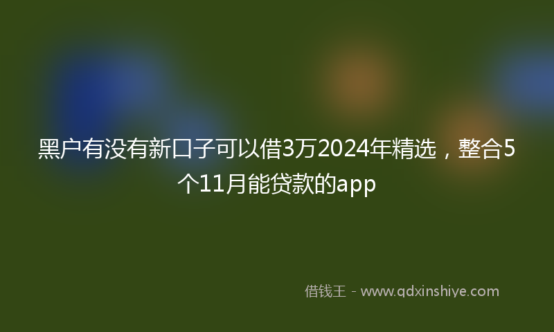 黑户有没有新口子可以借3万2024年精选，整合5个11月能贷款的app