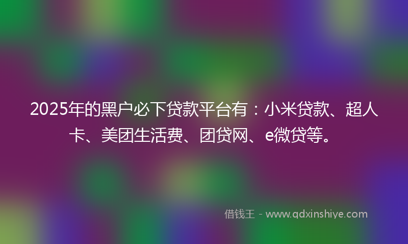 2025年的黑户必下贷款平台有：小米贷款、超人卡、美团生活费、团贷网、e微贷等。