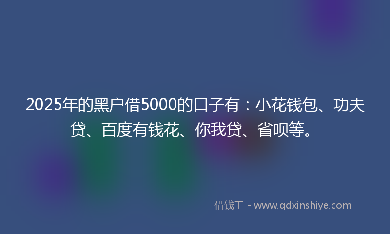 2025年的黑户借5000的口子有：小花钱包、功夫贷、百度有钱花、你我贷、省呗等。