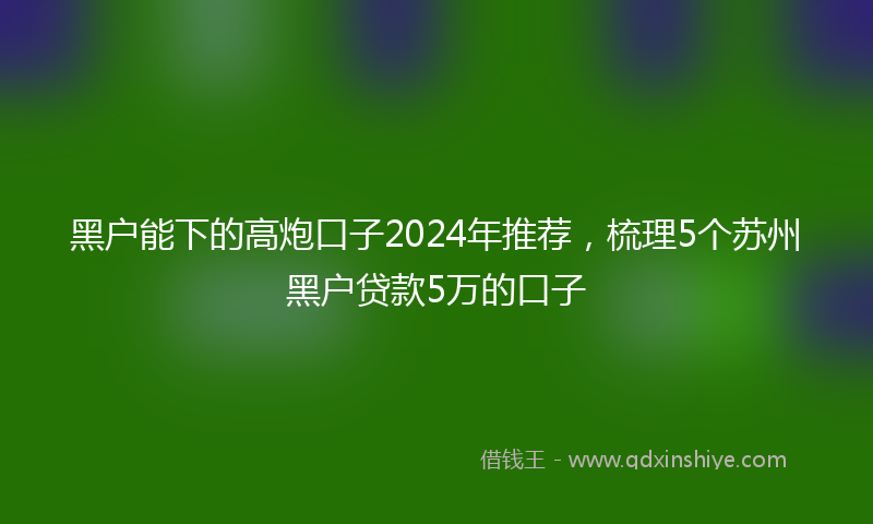 黑户能下的高炮口子2024年推荐，梳理5个苏州黑户贷款5万的口子