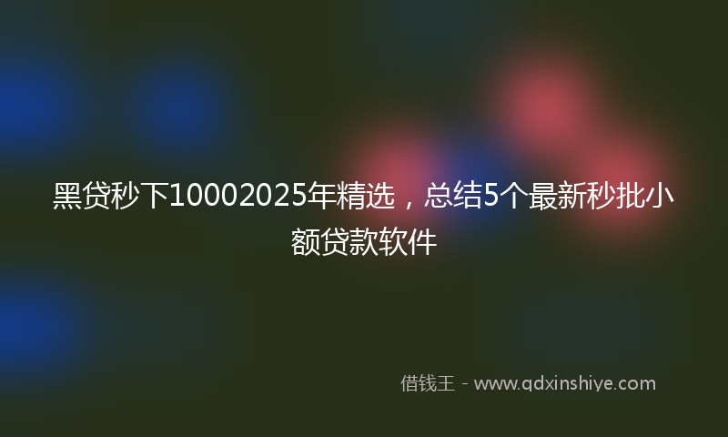 黑贷秒下10002025年精选，总结5个最新秒批小额贷款软件
