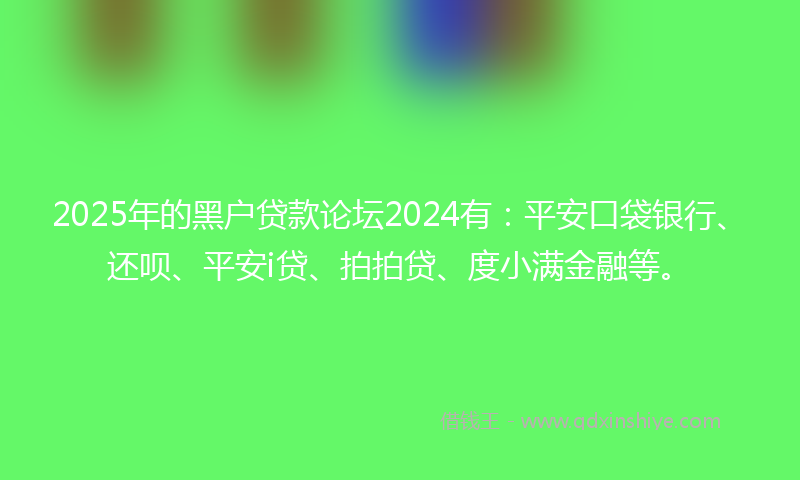 2025年的黑户贷款论坛2024有：平安口袋银行、还呗、平安i贷、拍拍贷、度小满金融等。