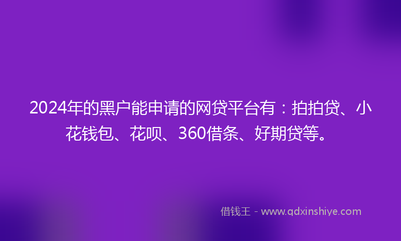 2024年的黑户能申请的网贷平台有：拍拍贷、小花钱包、花呗、360借条、好期贷等。