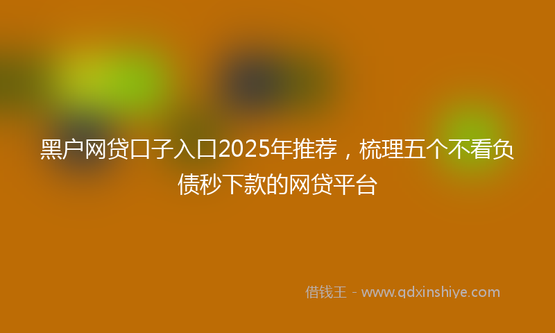 黑户网贷口子入口2025年推荐，梳理五个不看负债秒下款的网贷平台