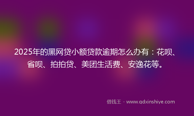 2025年的黑网贷小额贷款逾期怎么办有：花呗、省呗、拍拍贷、美团生活费、安逸花等。