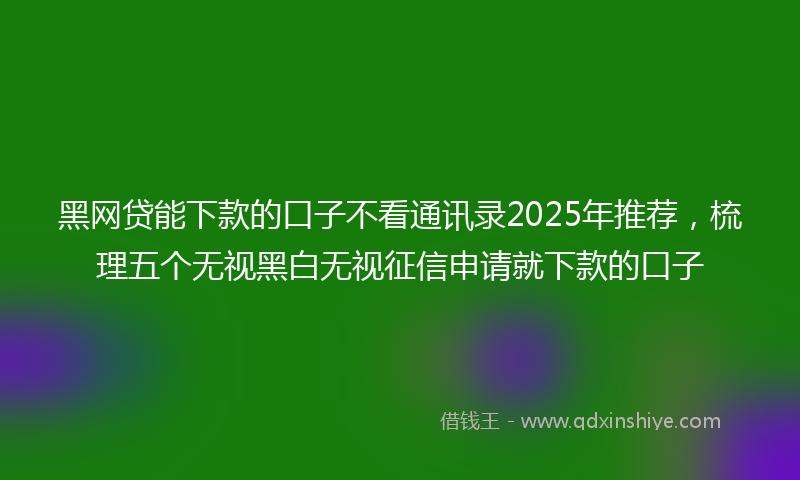 黑网贷能下款的口子不看通讯录2025年推荐，梳理五个无视黑白无视征信申请就下款的口子