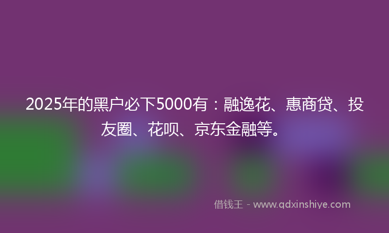 2025年的黑户必下5000有：融逸花、惠商贷、投友圈、花呗、京东金融等。