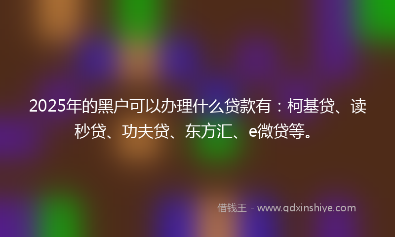 2025年的黑户可以办理什么贷款有：柯基贷、读秒贷、功夫贷、东方汇、e微贷等。