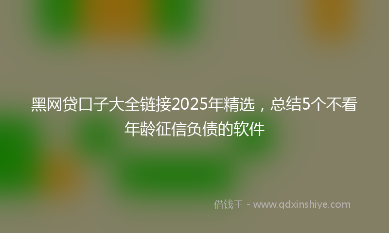 黑网贷口子大全链接2025年精选，总结5个不看年龄征信负债的软件