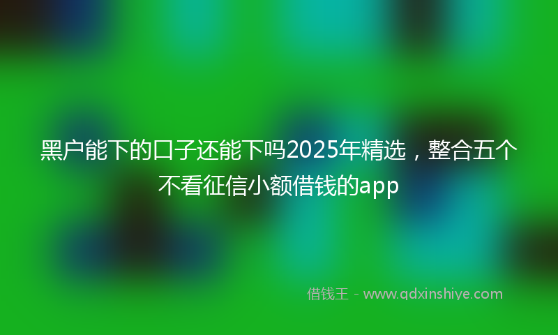 黑户能下的口子还能下吗2025年精选，整合五个不看征信小额借钱的app