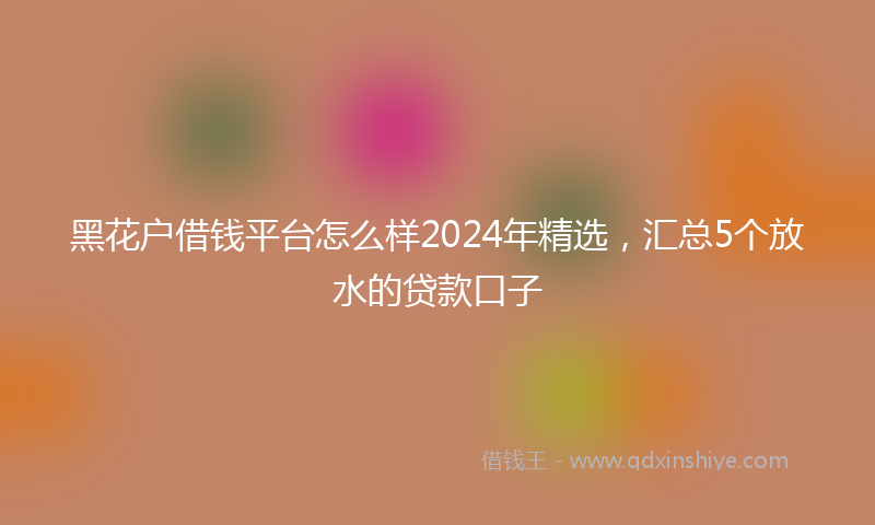 黑花户借钱平台怎么样2024年精选，汇总5个放水的贷款口子