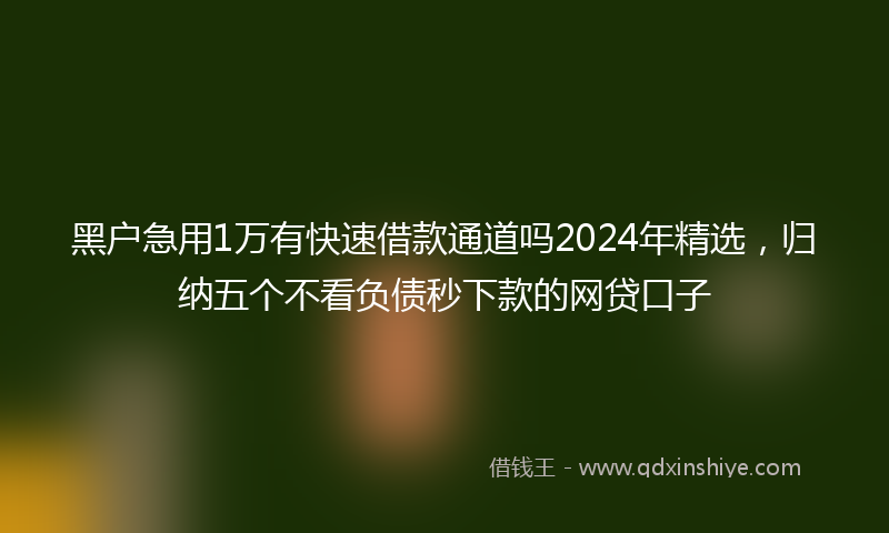 黑户急用1万有快速借款通道吗2024年精选，归纳五个不看负债秒下款的网贷口子