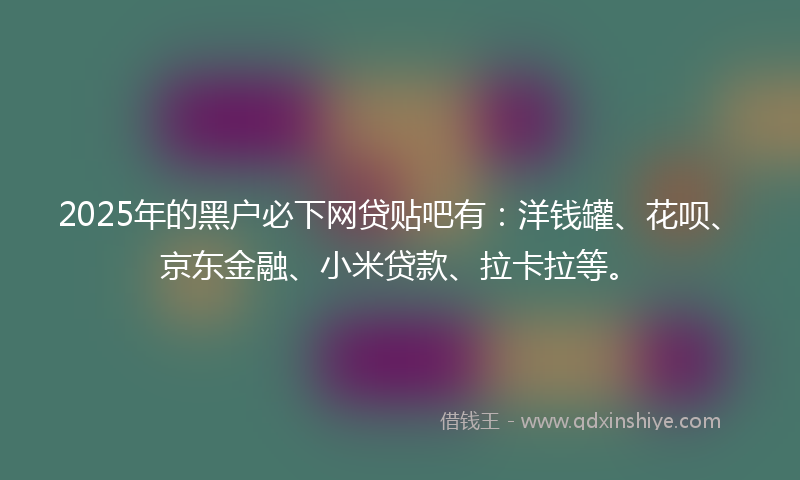 2025年的黑户必下网贷贴吧有：洋钱罐、花呗、京东金融、小米贷款、拉卡拉等。