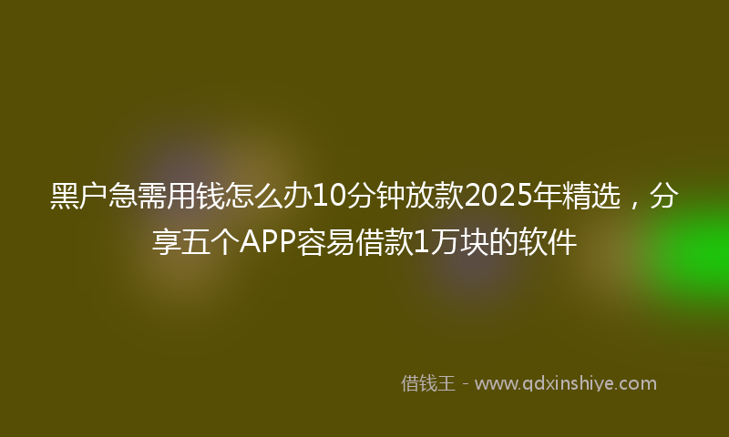 黑户急需用钱怎么办10分钟放款2025年精选，分享五个APP容易借款1万块的软件