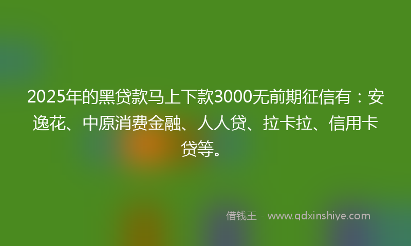 2025年的黑贷款马上下款3000无前期征信有：安逸花、中原消费金融、人人贷、拉卡拉、信用卡贷等。
