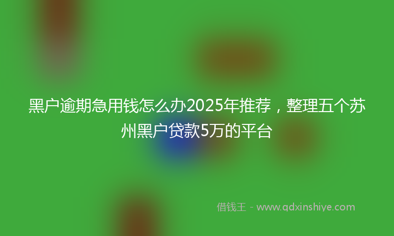 黑户逾期急用钱怎么办2025年推荐，整理五个苏州黑户贷款5万的平台