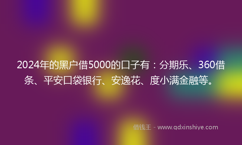 2024年的黑户借5000的口子有：分期乐、360借条、平安口袋银行、安逸花、度小满金融等。