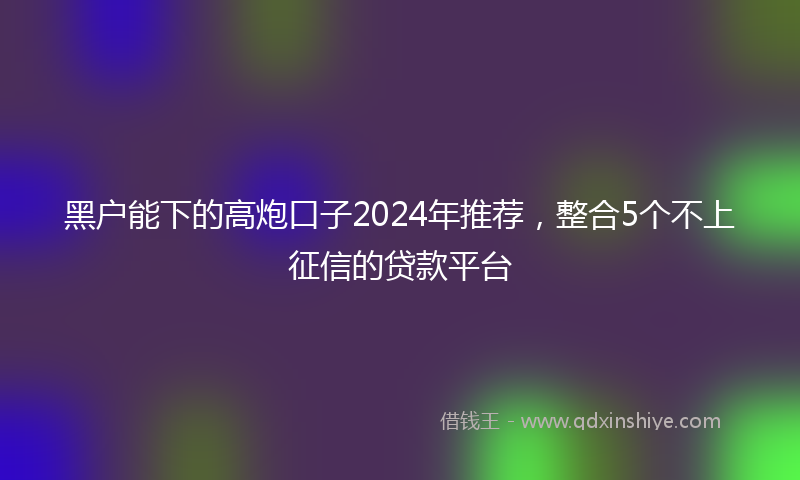 黑户能下的高炮口子2024年推荐，整合5个不上征信的贷款平台