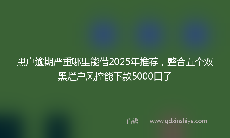 黑户逾期严重哪里能借2025年推荐，整合五个双黑烂户风控能下款5000口子