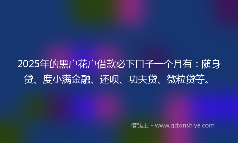 2025年的黑户花户借款必下口子一个月有：随身贷、度小满金融、还呗、功夫贷、微粒贷等。