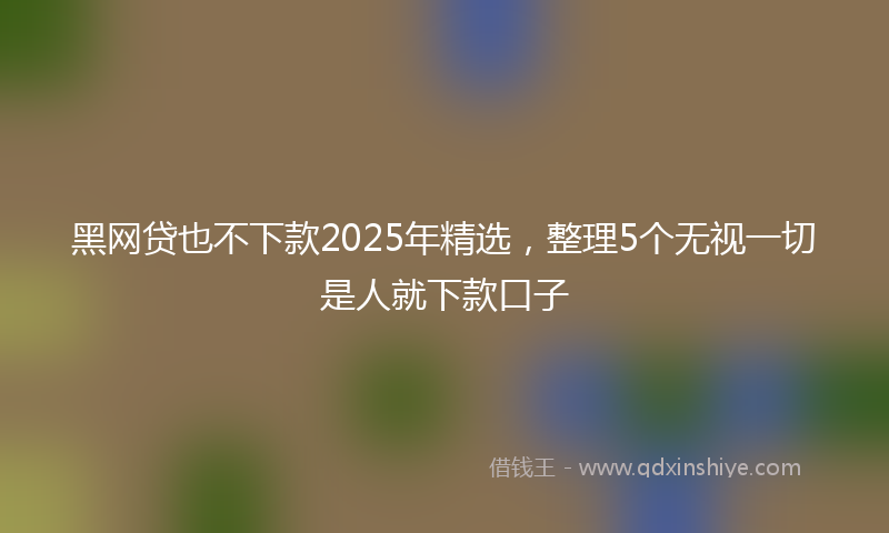 黑网贷也不下款2025年精选，整理5个无视一切是人就下款口子