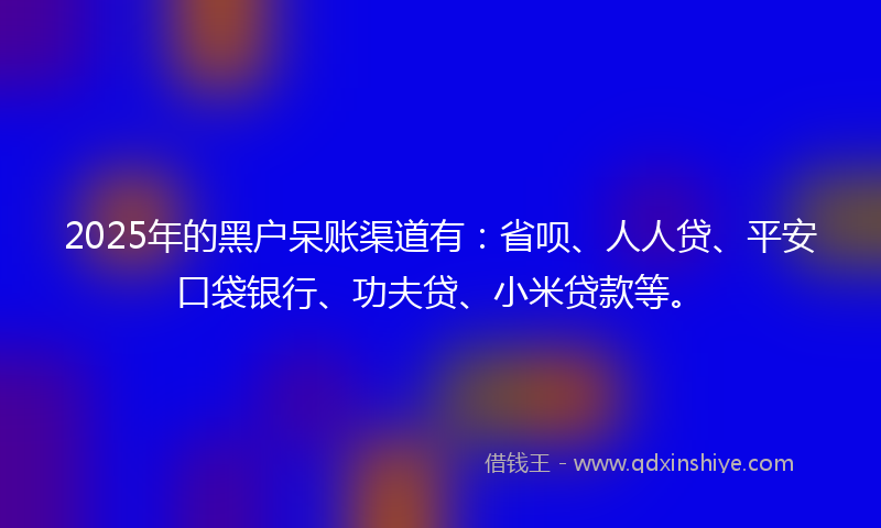 2025年的黑户呆账渠道有：省呗、人人贷、平安口袋银行、功夫贷、小米贷款等。
