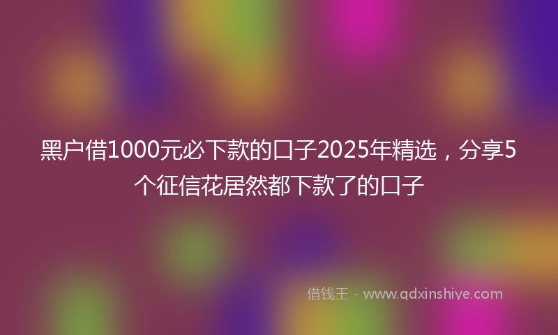 黑户借1000元必下款的口子2025年精选，分享5个征信花居然都下款了的口子