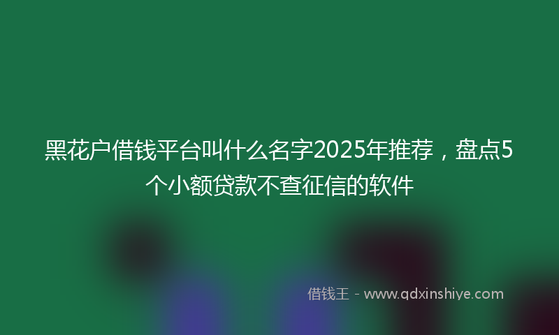 黑花户借钱平台叫什么名字2025年推荐，盘点5个小额贷款不查征信的软件