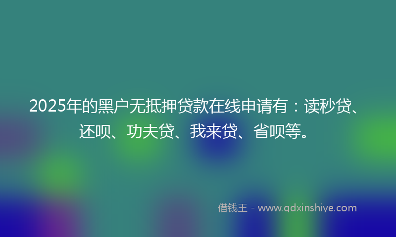 2025年的黑户无抵押贷款在线申请有：读秒贷、还呗、功夫贷、我来贷、省呗等。