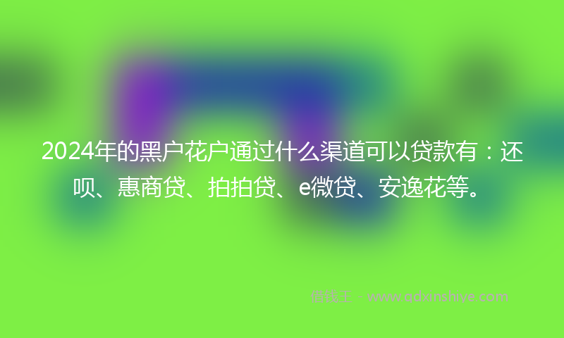 2024年的黑户花户通过什么渠道可以贷款有：还呗、惠商贷、拍拍贷、e微贷、安逸花等。