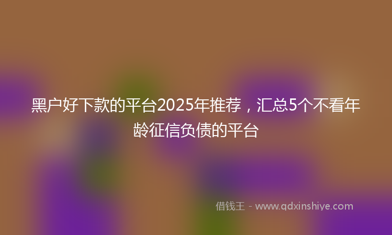 黑户好下款的平台2025年推荐，汇总5个不看年龄征信负债的平台