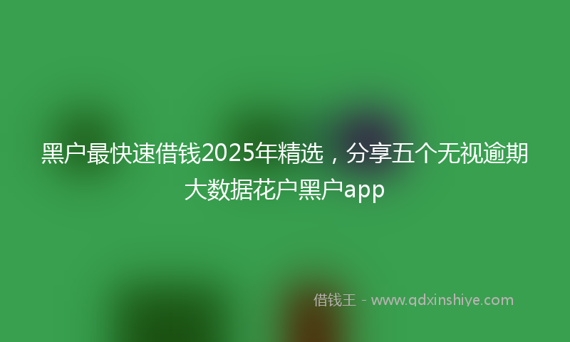 黑户最快速借钱2025年精选，分享五个无视逾期大数据花户黑户app