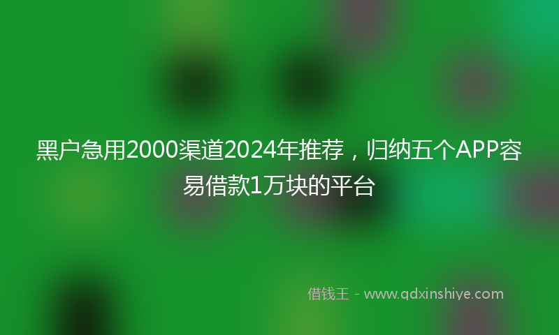 黑户急用2000渠道2024年推荐，归纳五个APP容易借款1万块的平台