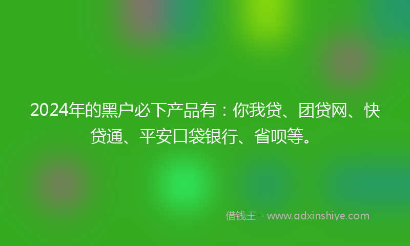 2024年的黑户必下产品有：你我贷、团贷网、快贷通、平安口袋银行、省呗等。