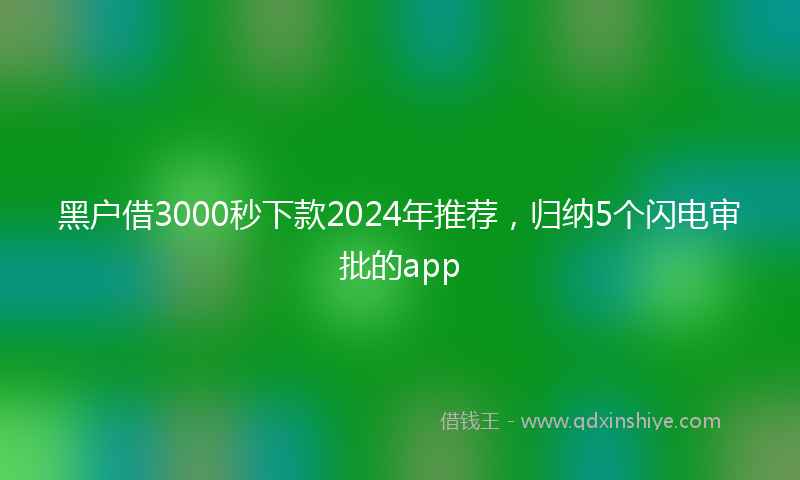 黑户借3000秒下款2024年推荐，归纳5个闪电审批的app
