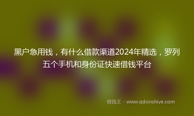 黑户急用钱，有什么借款渠道2024年精选，罗列五个手机和身份证快速借钱平台