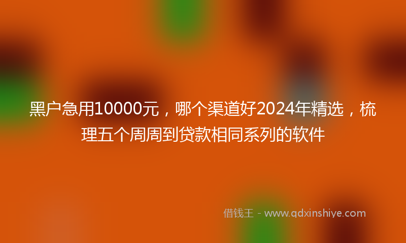黑户急用10000元，哪个渠道好2024年精选，梳理五个周周到贷款相同系列的软件