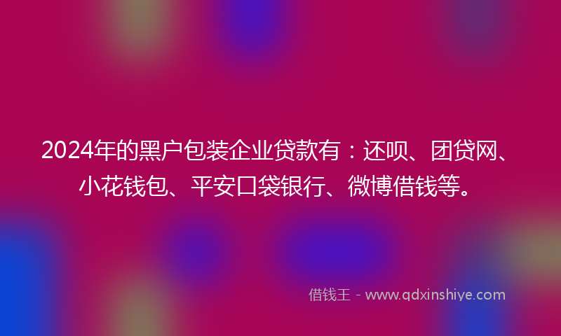 2024年的黑户包装企业贷款有：还呗、团贷网、小花钱包、平安口袋银行、微博借钱等。