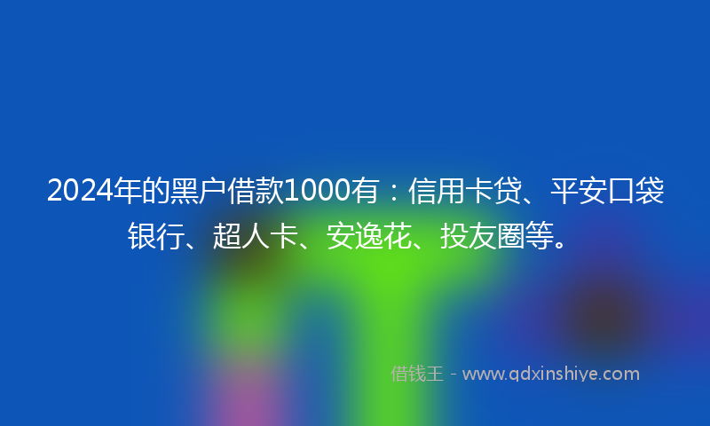 2024年的黑户借款1000有：信用卡贷、平安口袋银行、超人卡、安逸花、投友圈等。
