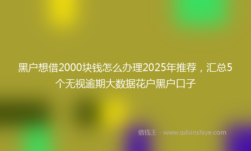 黑户想借2000块钱怎么办理2025年推荐，汇总5个无视逾期大数据花户黑户口子