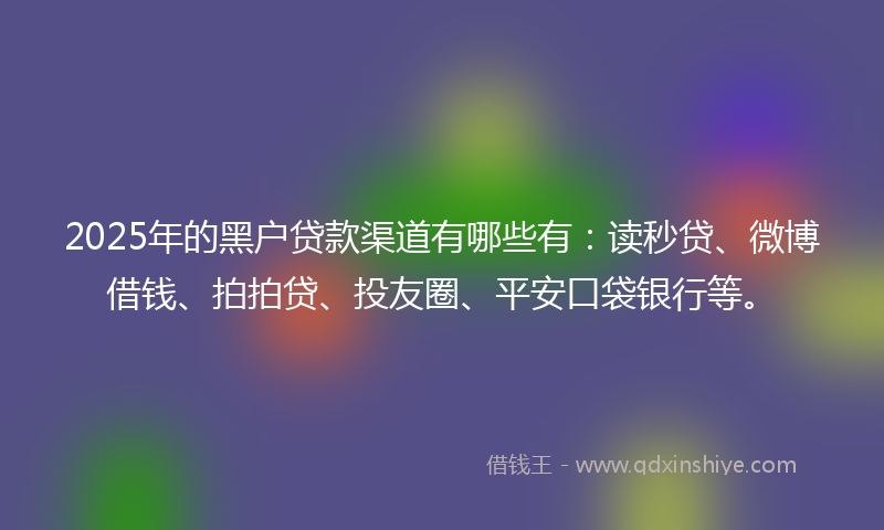 2025年的黑户贷款渠道有哪些有：读秒贷、微博借钱、拍拍贷、投友圈、平安口袋银行等。