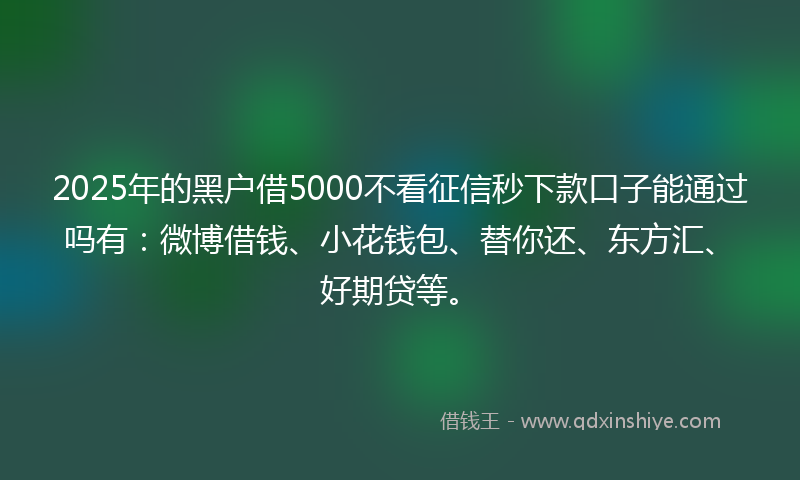 2025年的黑户借5000不看征信秒下款口子能通过吗有：微博借钱、小花钱包、替你还、东方汇、好期贷等。