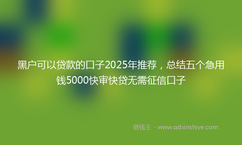黑户可以贷款的口子2025年推荐，总结五个急用钱5000快审快贷无需征信口子
