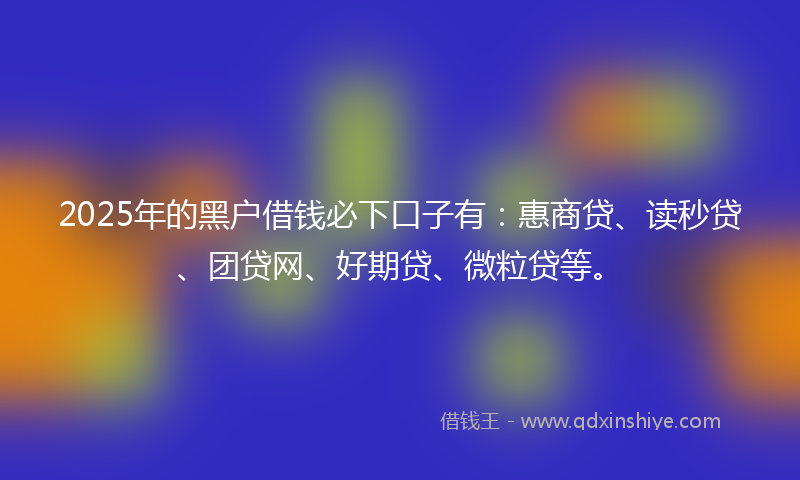 2025年的黑户借钱必下口子有：惠商贷、读秒贷、团贷网、好期贷、微粒贷等。