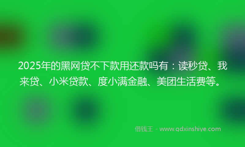 2025年的黑网贷不下款用还款吗有：读秒贷、我来贷、小米贷款、度小满金融、美团生活费等。