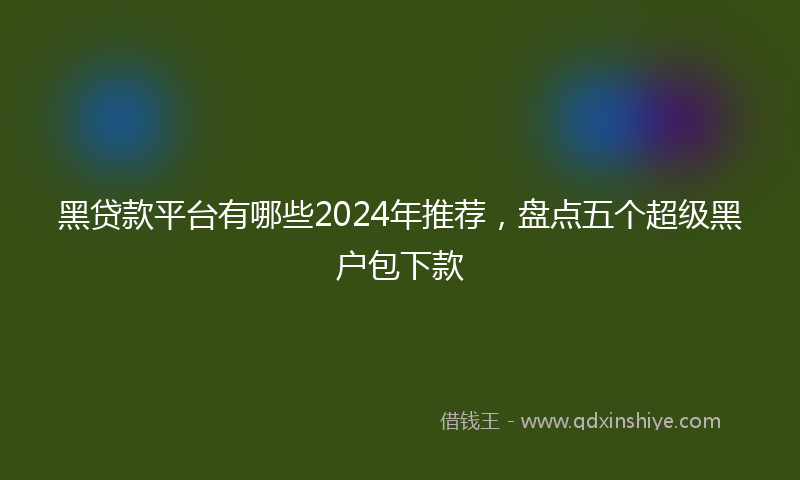 黑贷款平台有哪些2024年推荐，盘点五个超级黑户包下款