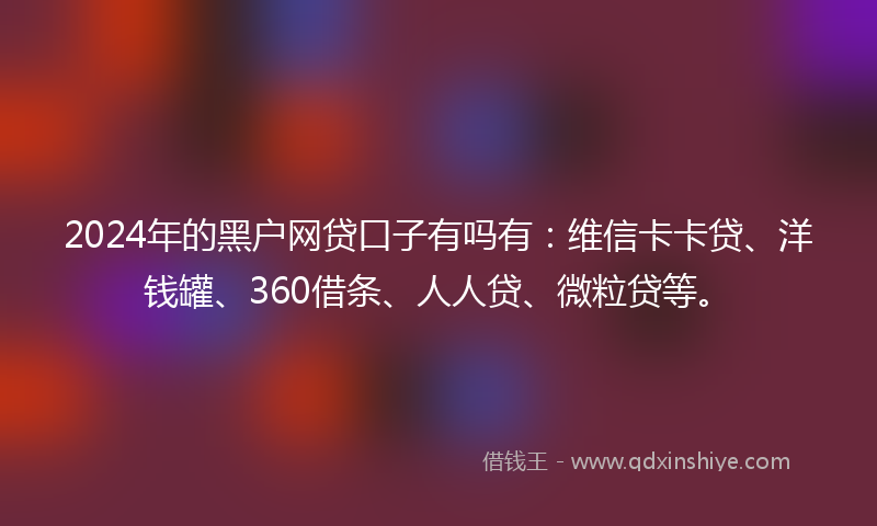 2024年的黑户网贷口子有吗有：维信卡卡贷、洋钱罐、360借条、人人贷、微粒贷等。