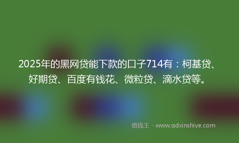 2025年的黑网贷能下款的口子714有：柯基贷、好期贷、百度有钱花、微粒贷、滴水贷等。